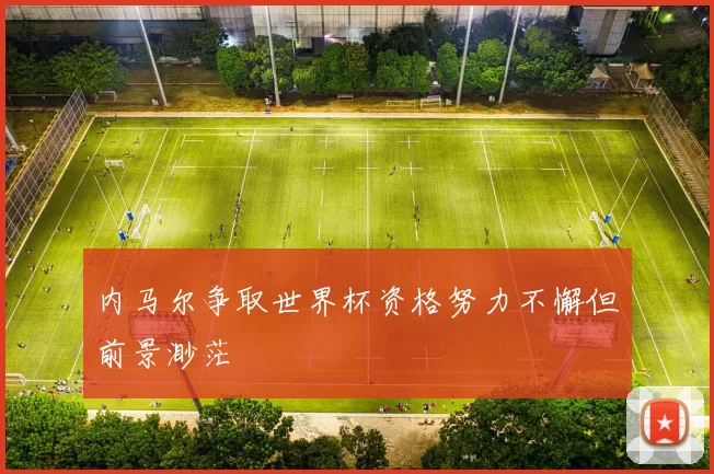 内马尔争取世界杯资格努力不懈但前景渺茫